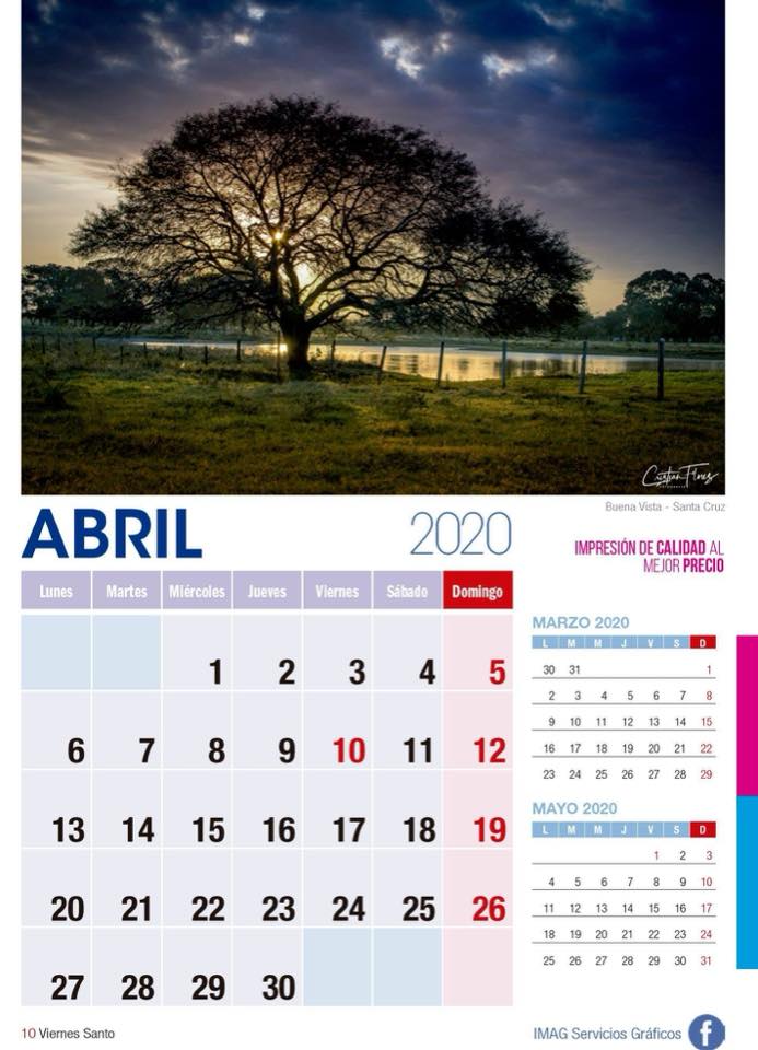 Calendario 2020 abril con árbol en paisaje verde