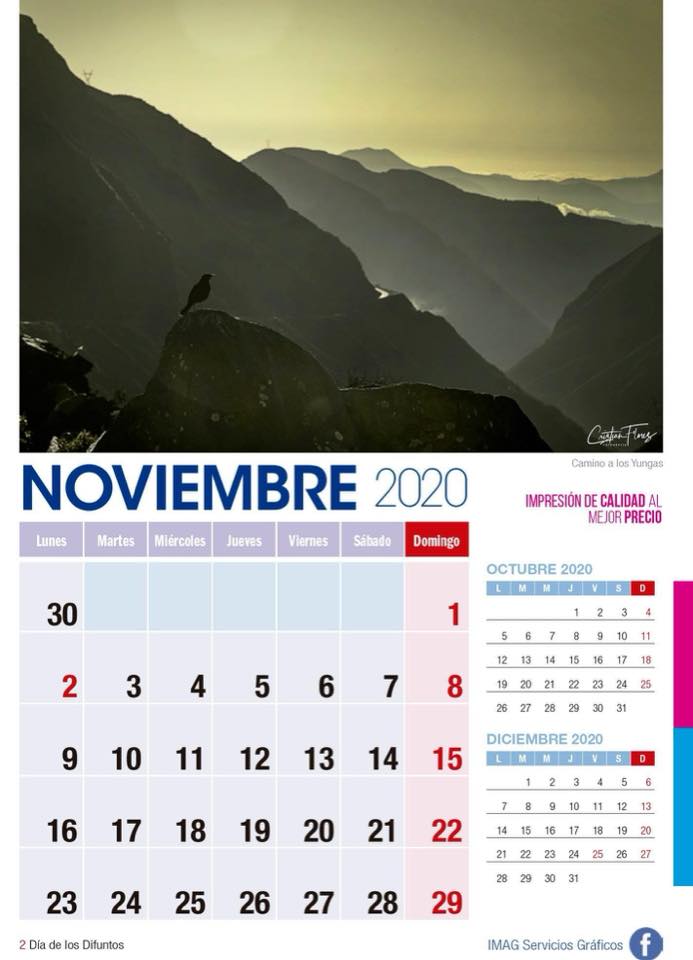 Calendario 2020 noviembre con montañas y pájaro